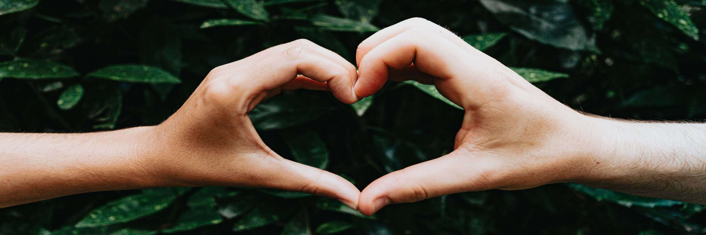 Hands - form a heart